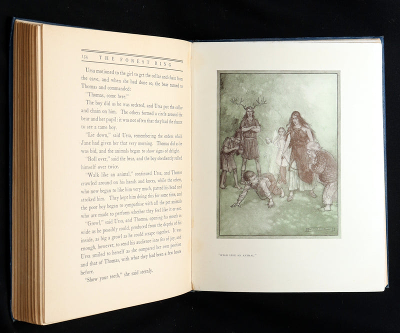 1914 Scarce First Edition - The Forest Ring by William C. De Mille, illustrated
