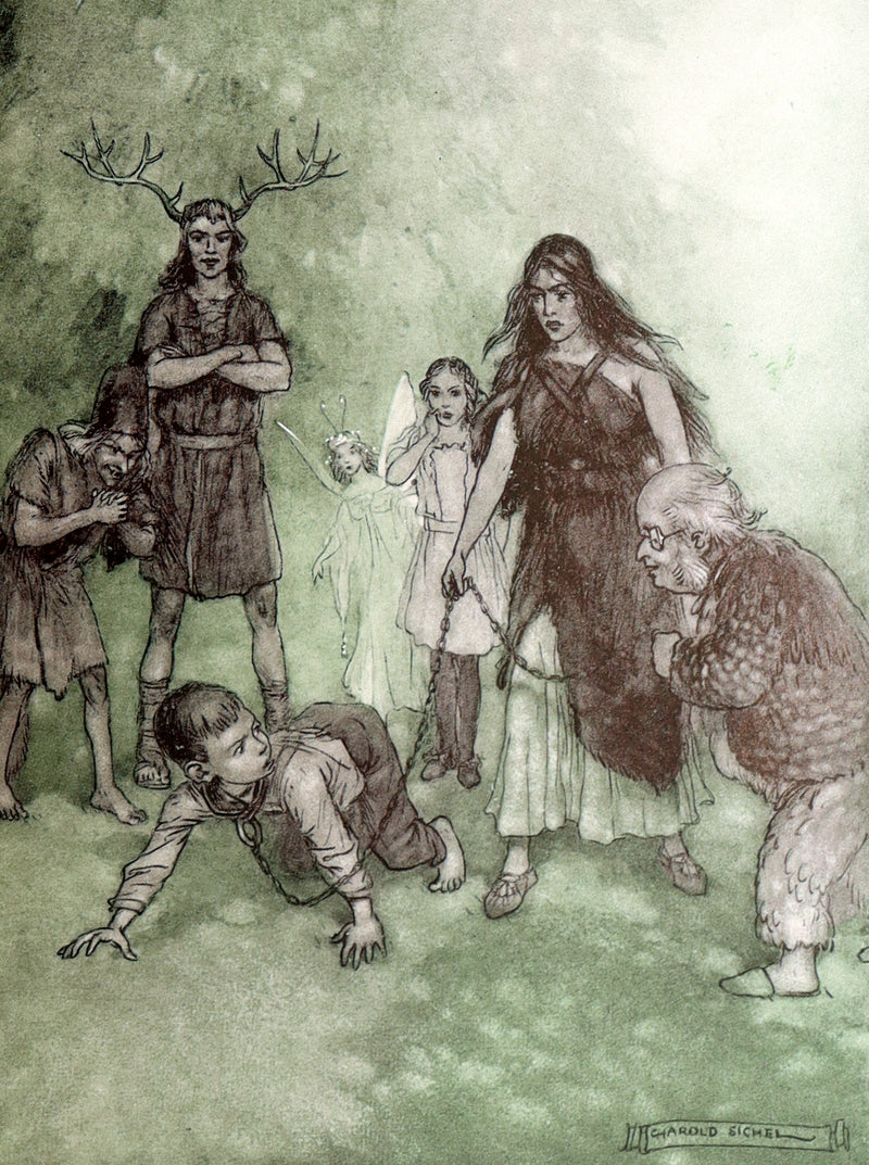 1914 Scarce First Edition - The Forest Ring by William C. De Mille, illustrated