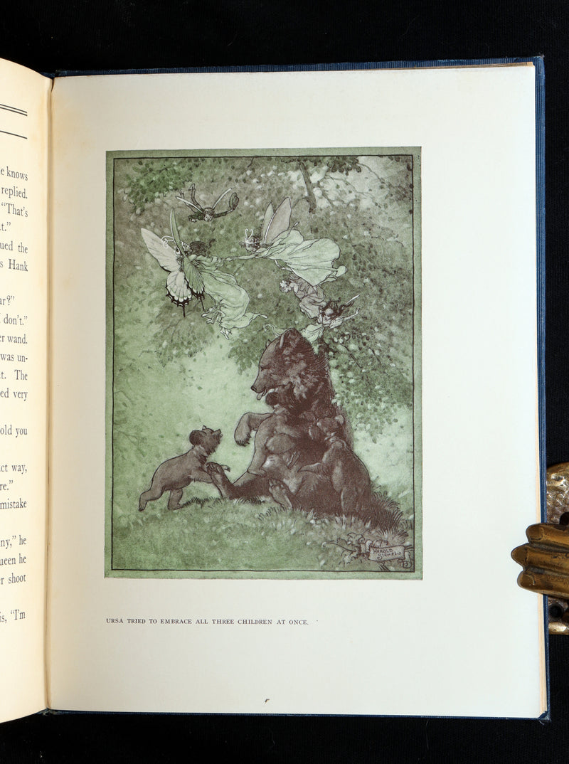 1914 Scarce First Edition - The Forest Ring by William C. De Mille, illustrated