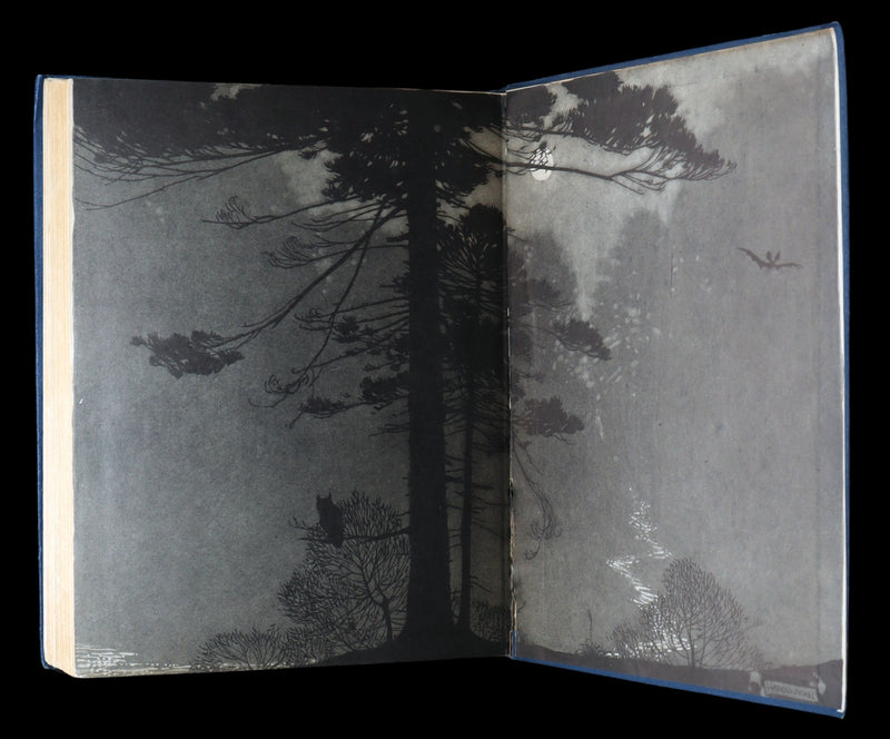 1914 Scarce First Edition - The Forest Ring by William C. De Mille, illustrated