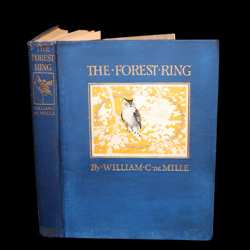 1914 Scarce First Edition - The Forest Ring by William C. De Mille, illustrated