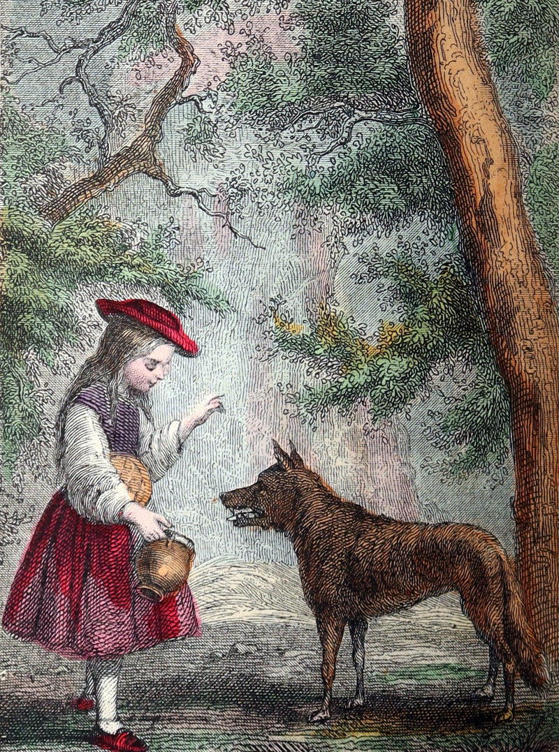1890 Scarce Color French Book - Contes des Fees by Perrault, Fairy Tales