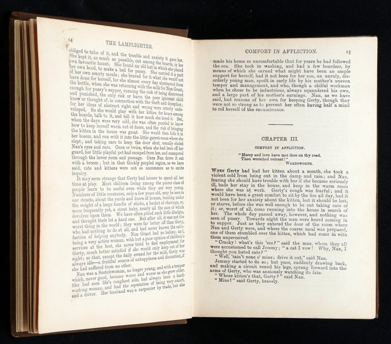 1880 Rare Victorian Book - The Lamplighter by Maria Susanna Cummins