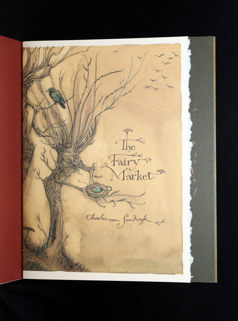 2009 Scarce First Edition - The Fairy Market by van Sandwyk dedicated to Rackham