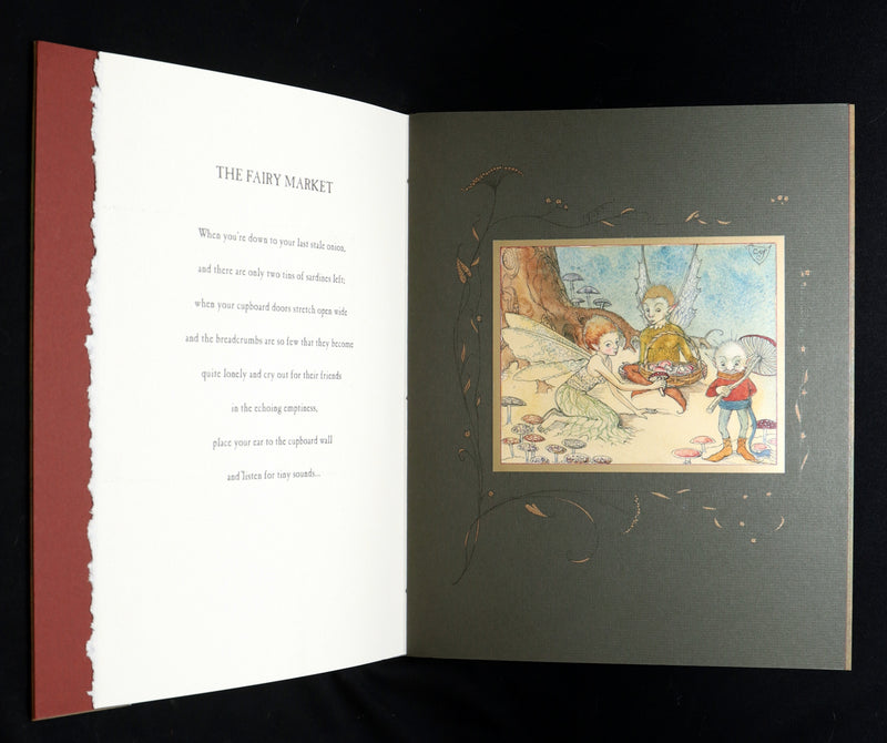 2009 Scarce First Edition - The Fairy Market by van Sandwyk dedicated to Rackham