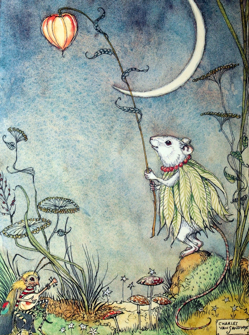 2009 Scarce First Edition - The Fairy Market by van Sandwyk dedicated to Rackham