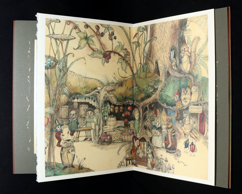 2009 Scarce First Edition - The Fairy Market by van Sandwyk dedicated to Rackham