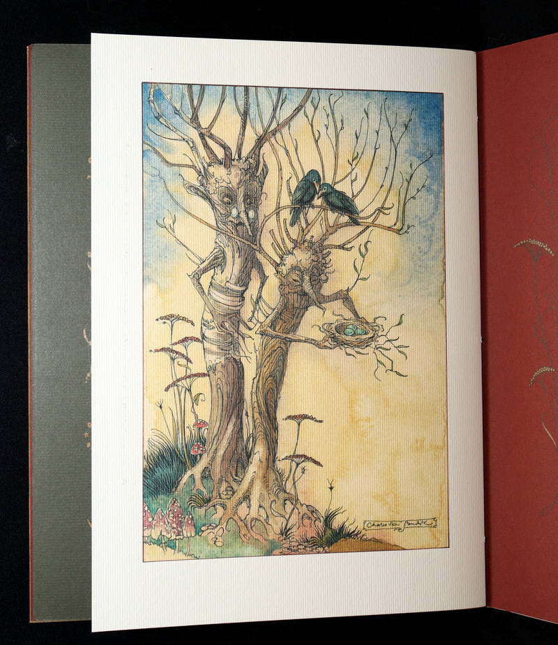 2009 Scarce First Edition - The Fairy Market by van Sandwyk dedicated to Rackham