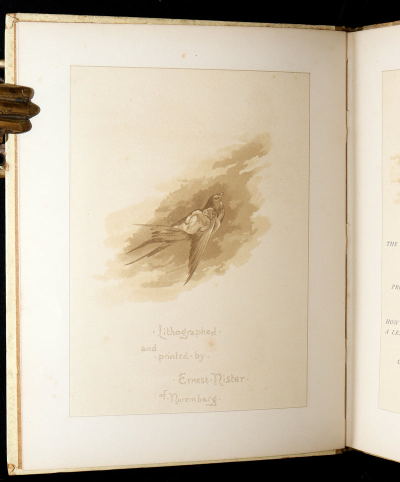 1886 Scarce Book - Under the Mistletoe illustrated by Lizzie Lawson Mack