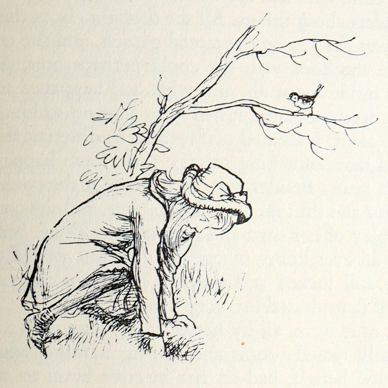 1956 First Illustrated Edition by Shepard - The Secret Garden by F.H. Burnett