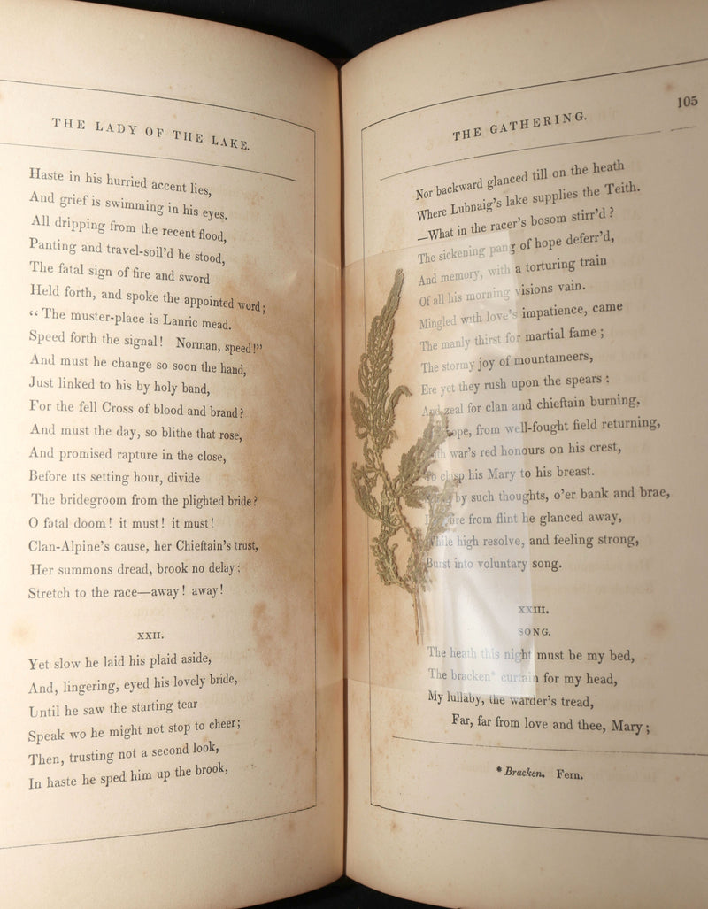 1856 Rare Book - The Lady of the Lake by Sir Walter Scott. Illustrated