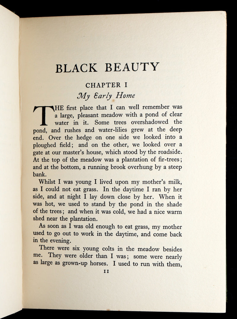 1932 Rare First Wheelwright Illustrated Edition – Black Beauty by Anna Sewell