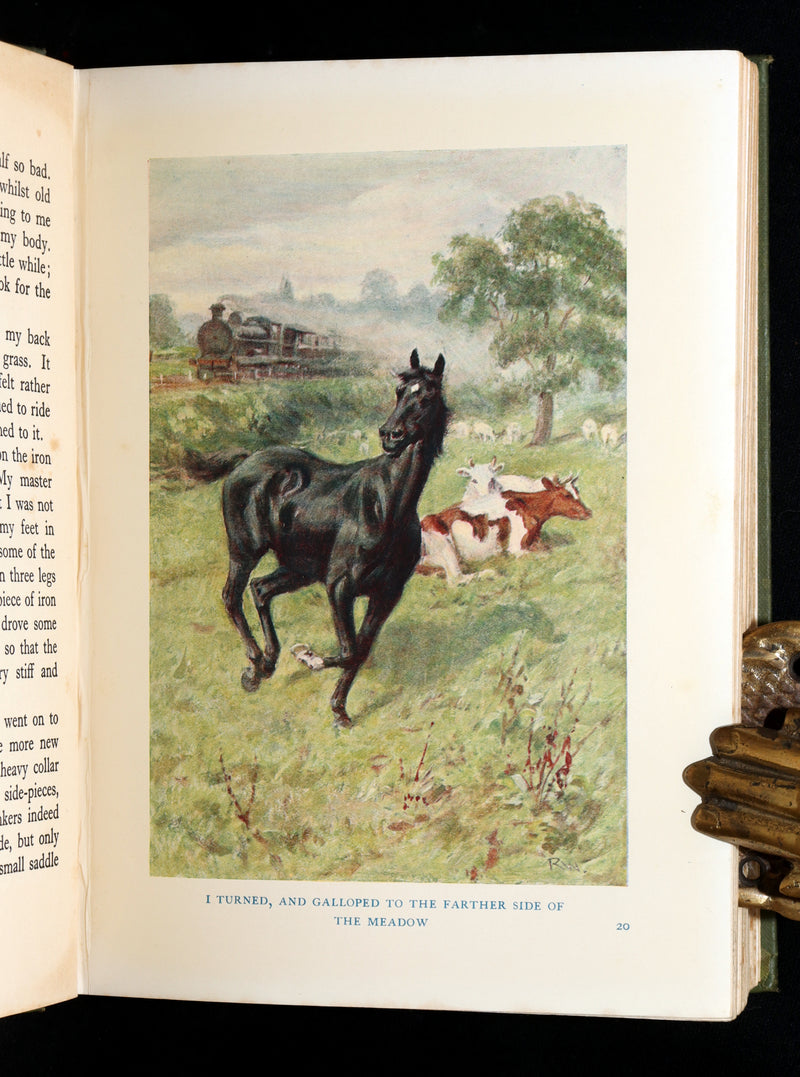 1932 Rare First Wheelwright Illustrated Edition – Black Beauty by Anna Sewell