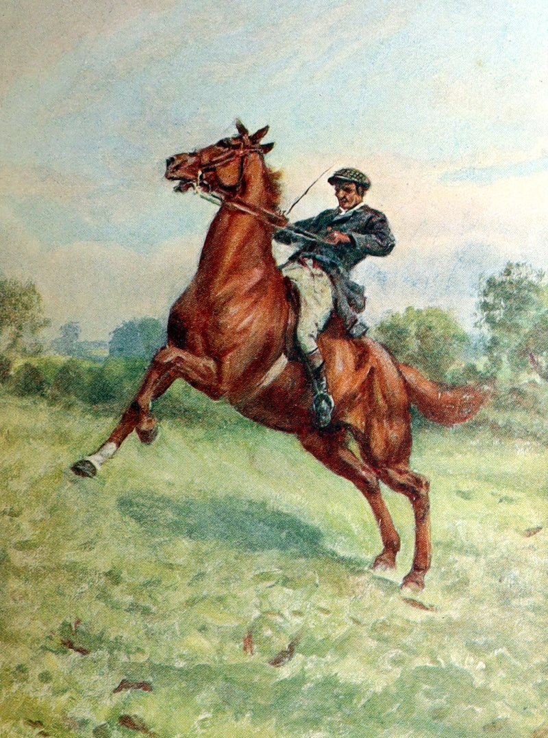 1932 Rare First Wheelwright Illustrated Edition – Black Beauty by Anna Sewell