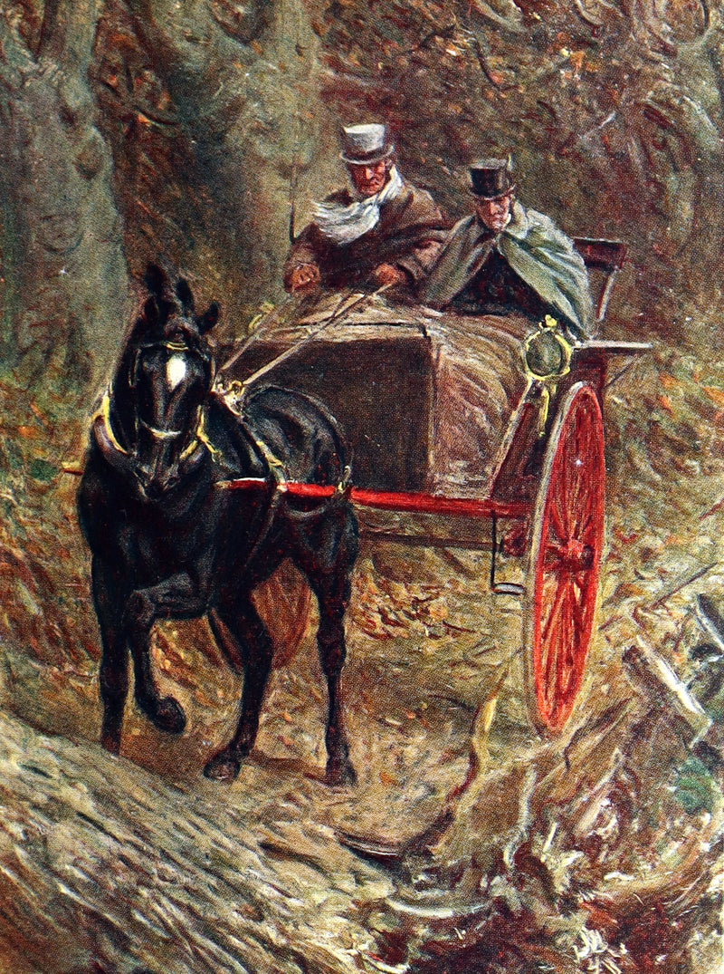 1932 Rare First Wheelwright Illustrated Edition – Black Beauty by Anna Sewell