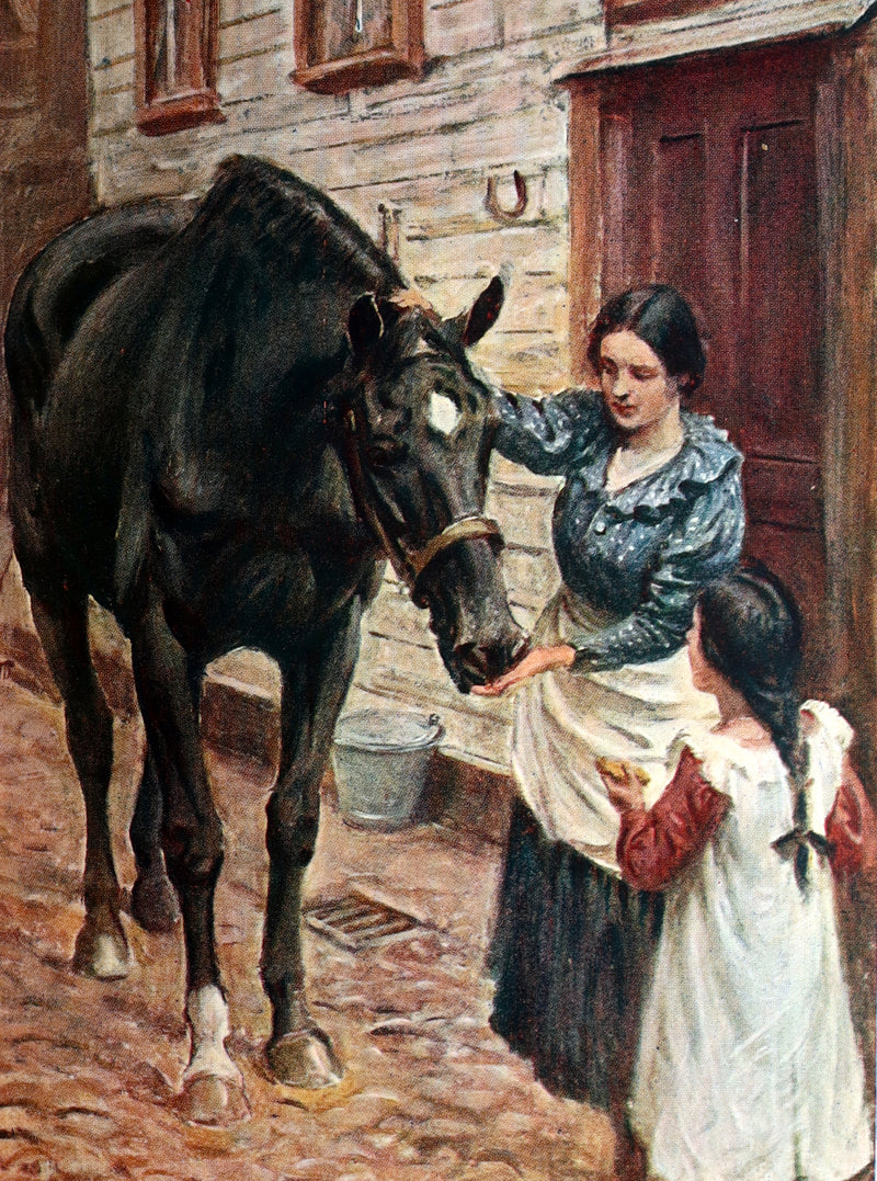 1932 Rare First Wheelwright Illustrated Edition – Black Beauty by Anna Sewell