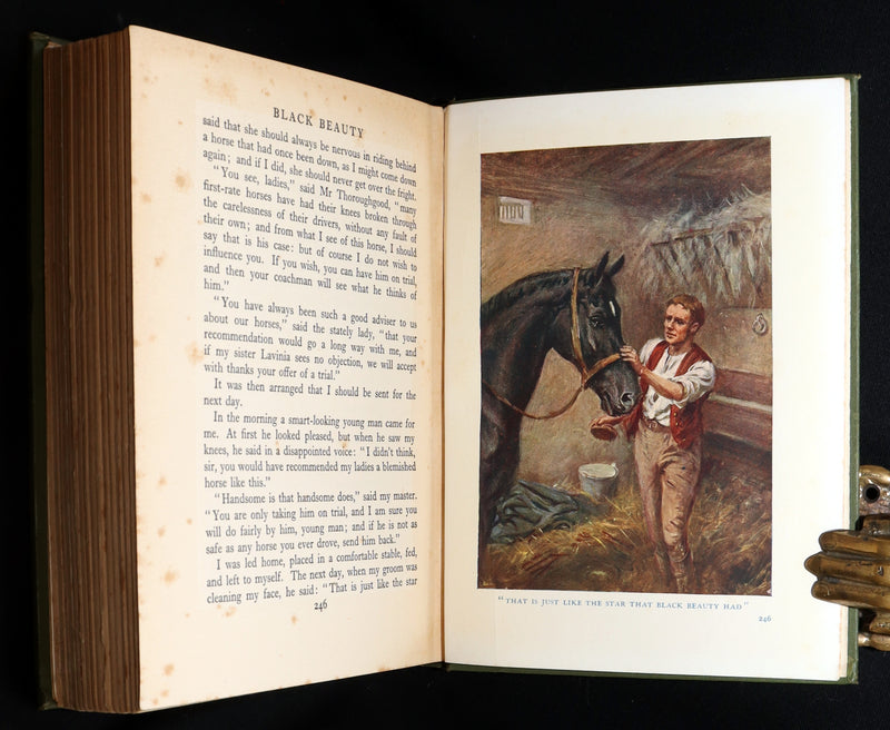 1932 Rare First Wheelwright Illustrated Edition – Black Beauty by Anna Sewell
