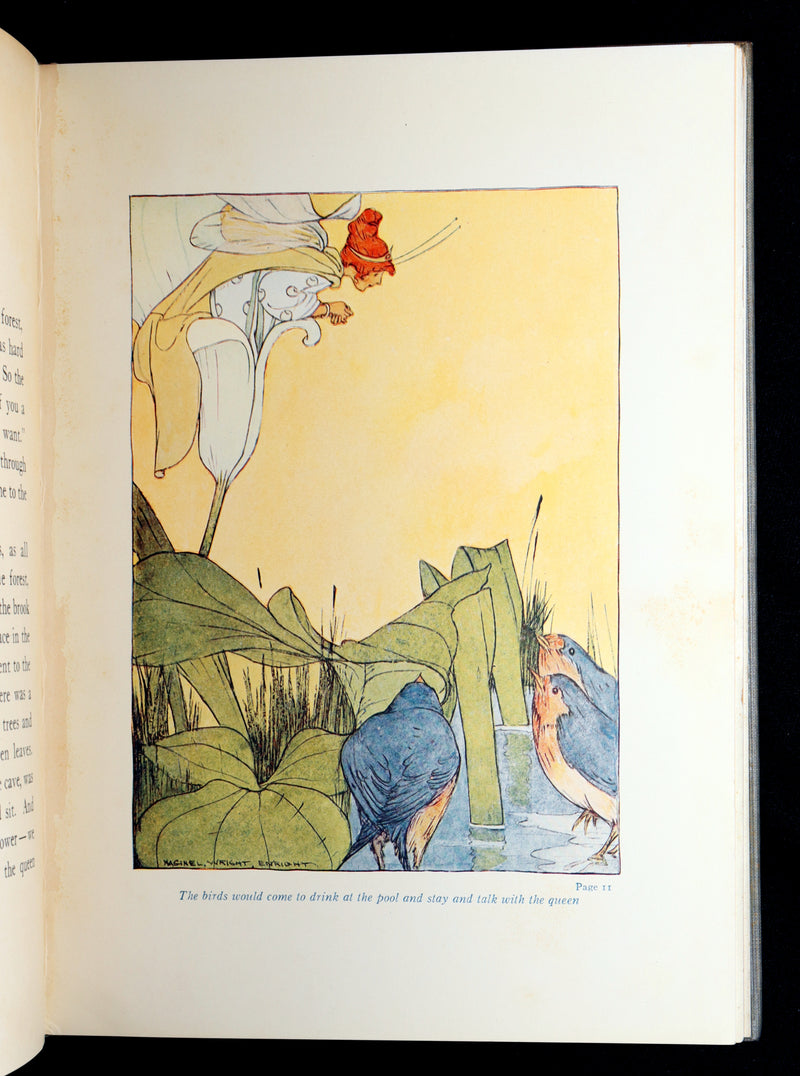 1915 Scarce First Edition - Flower Fairies Illustrated by Maginel Wright Enright