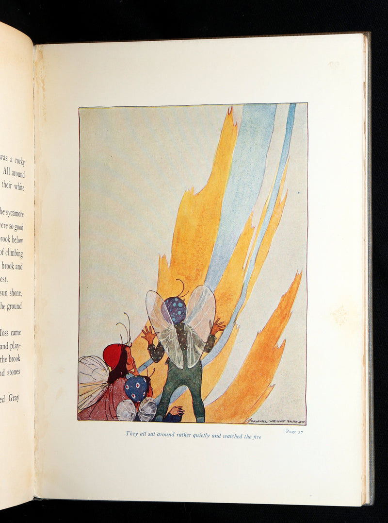 1915 Scarce First Edition - Flower Fairies Illustrated by Maginel Wright Enright