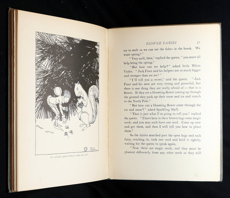 1915 Scarce First Edition - Flower Fairies Illustrated by Maginel Wright Enright