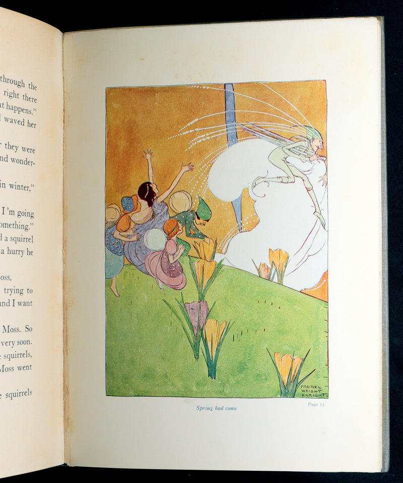1915 Scarce First Edition - Flower Fairies Illustrated by Maginel Wright Enright