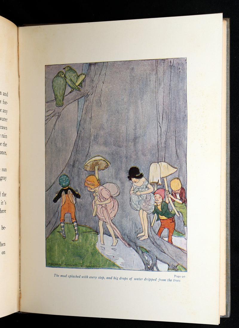 1915 Scarce First Edition - Flower Fairies Illustrated by Maginel Wright Enright