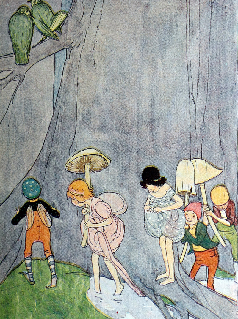 1915 Scarce First Edition - Flower Fairies Illustrated by Maginel Wright Enright