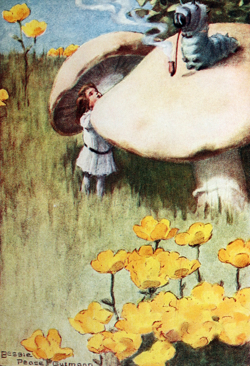 1907 Rare Book - Alice in Wonderland Illustrated by Bessie Pease Gutmann