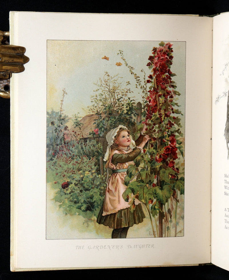1887 Rare Edition – A Christmas Tree Fairy by Lizzie and Robert Ellice Mack