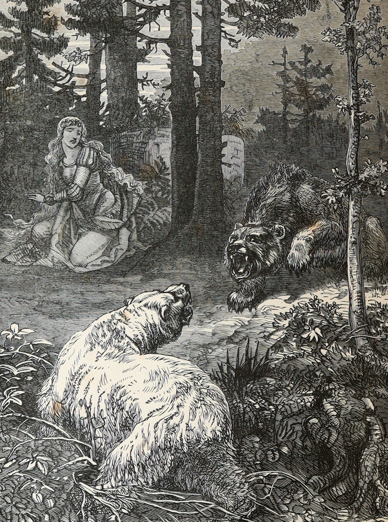 1881 Scarce Book - The Boys’ and Girls’ Book of Enchantment. Illustrated