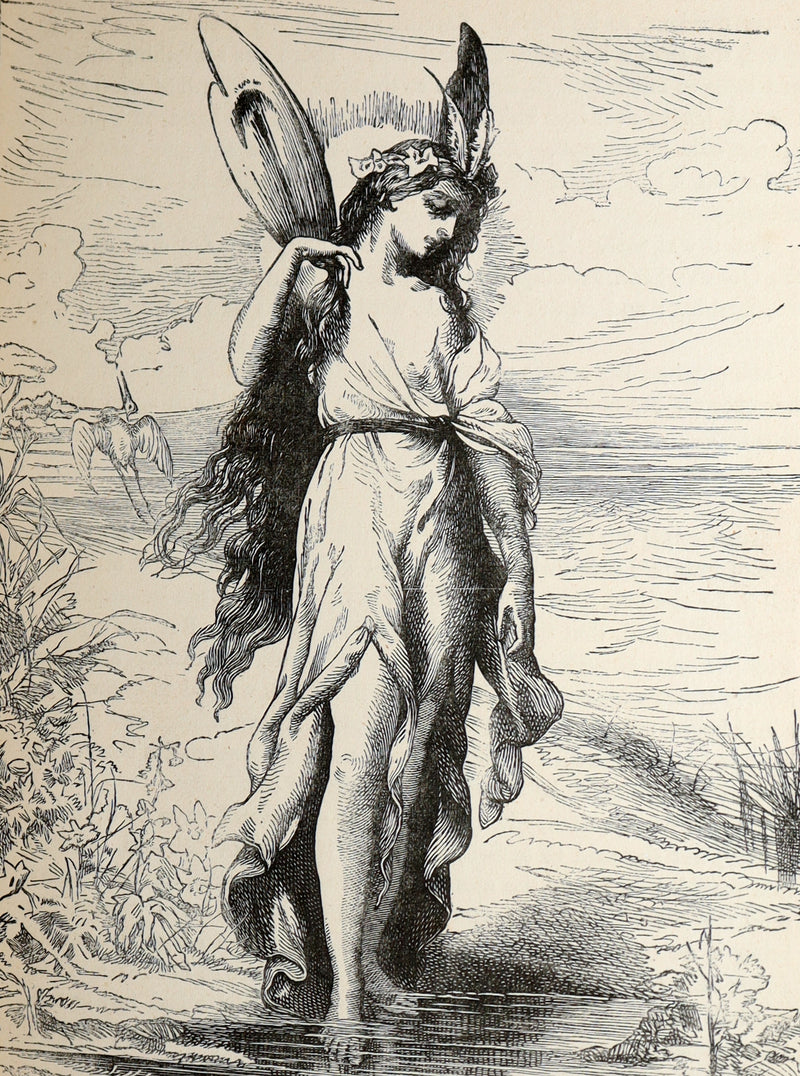 1881 Scarce Book - The Boys’ and Girls’ Book of Enchantment. Illustrated