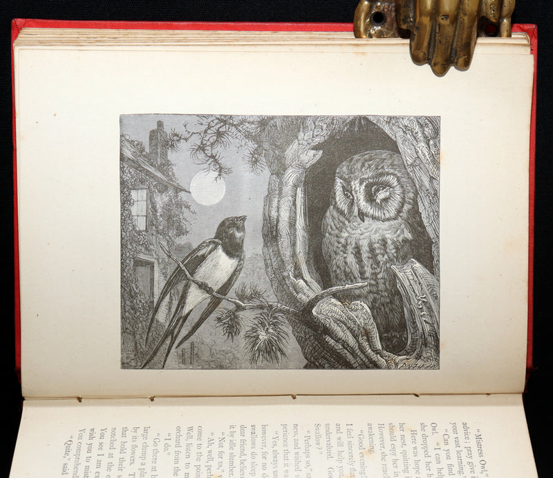 1881 Scarce Book - The Boys’ and Girls’ Book of Enchantment. Illustrated