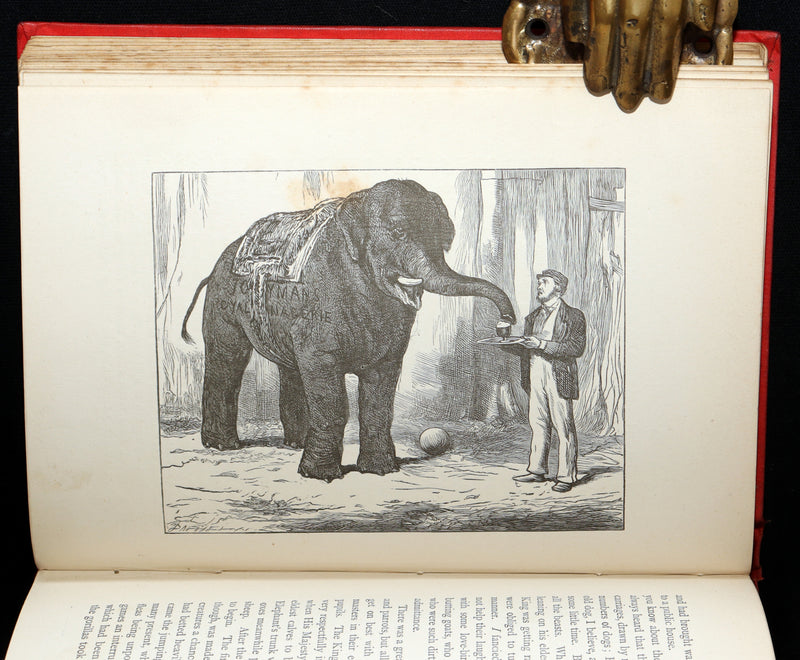 1881 Scarce Book - The Boys’ and Girls’ Book of Enchantment. Illustrated
