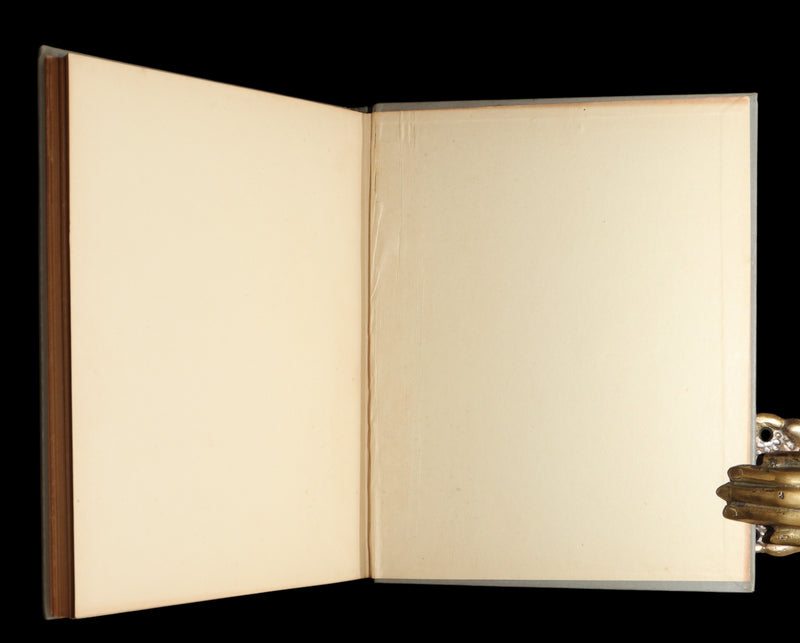 1893 Rare Book - Sara Crewe by Frances Hodgson Burnett. Illustrated