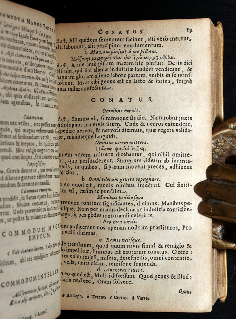 1663 Rare Latin Vellum Book – Erasmus Adagiorum Epitome, Antiquity Proverbs