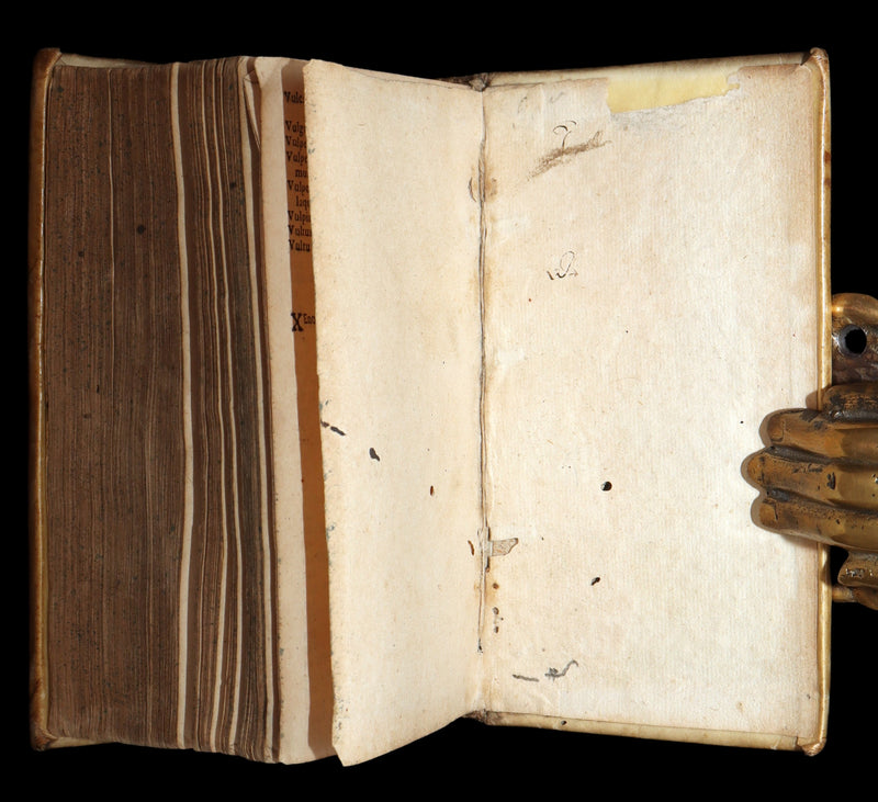 1663 Rare Latin Vellum Book – Erasmus Adagiorum Epitome, Antiquity Proverbs