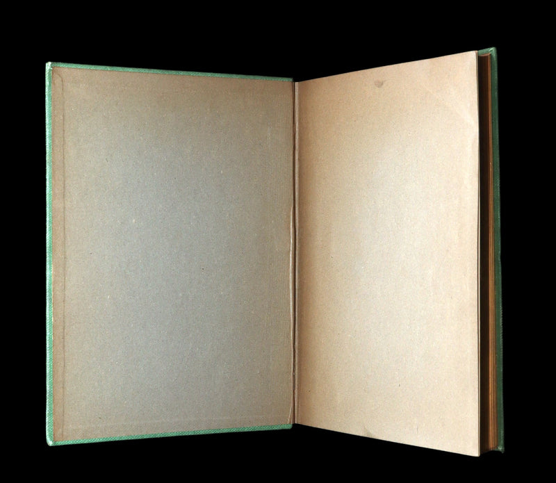 1896 Rare First Edition - To Tell the King the Sky is Falling by Alice Woodward