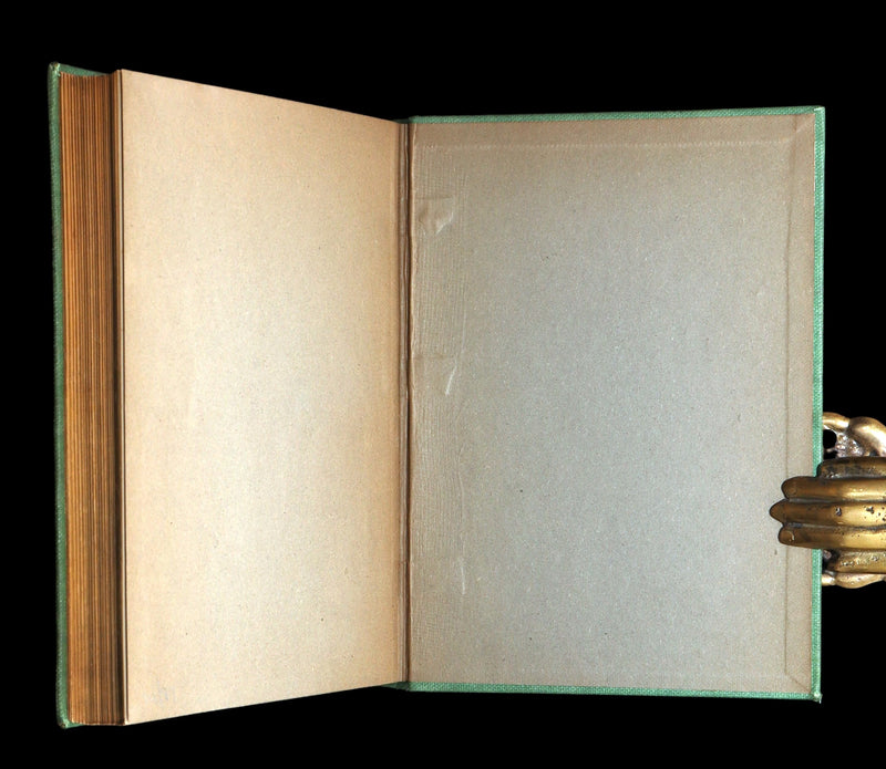 1896 Rare First Edition - To Tell the King the Sky is Falling by Alice Woodward