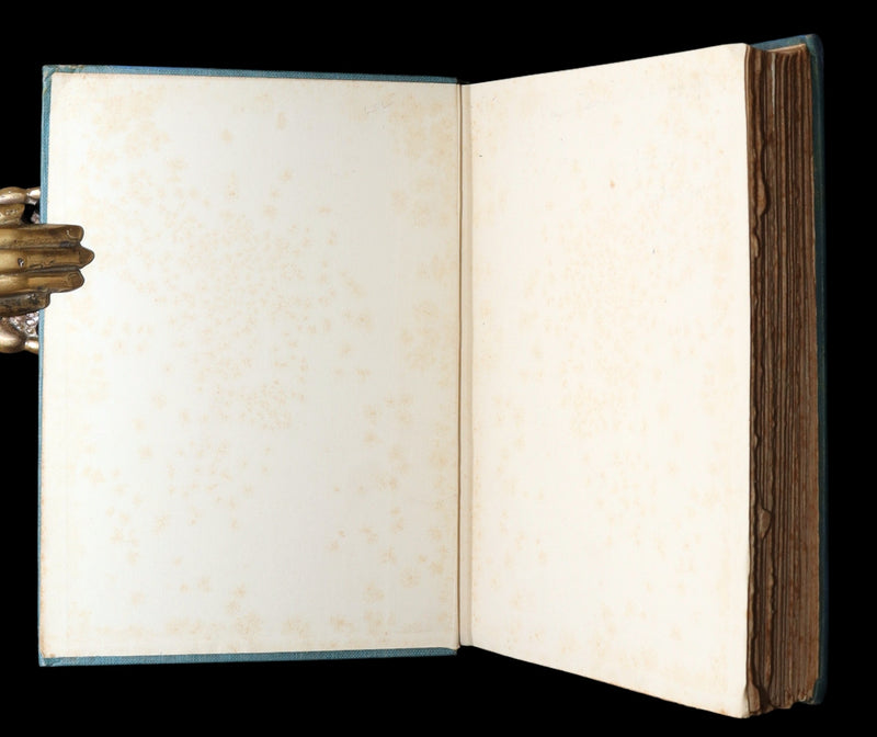 1920 Rare Book - Russian Fairy Tales Illustrated by Noel L. Nisbet