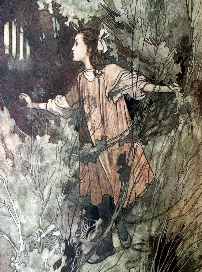 1911 Rare First Edition – The Secret Garden Illustrated by Charles Robinson