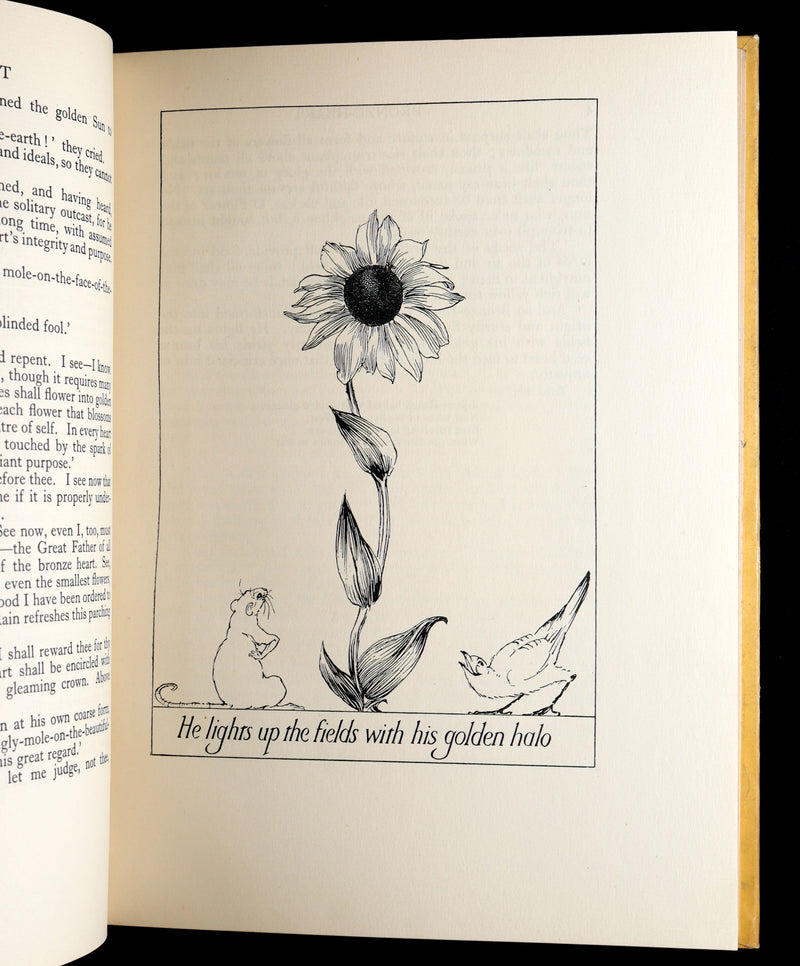1926 Rare First Edition - Fairy Flowers by Isidora Newman Illustrated by Pogany