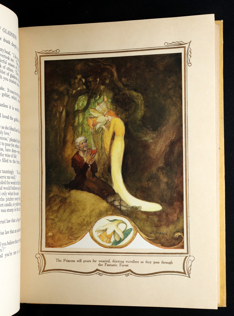 1926 Rare First Edition - Fairy Flowers by Isidora Newman Illustrated by Pogany