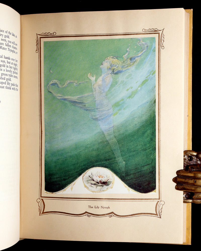 1926 Rare First Edition - Fairy Flowers by Isidora Newman Illustrated by Pogany