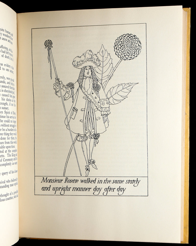 1926 Rare First Edition - Fairy Flowers by Isidora Newman Illustrated by Pogany