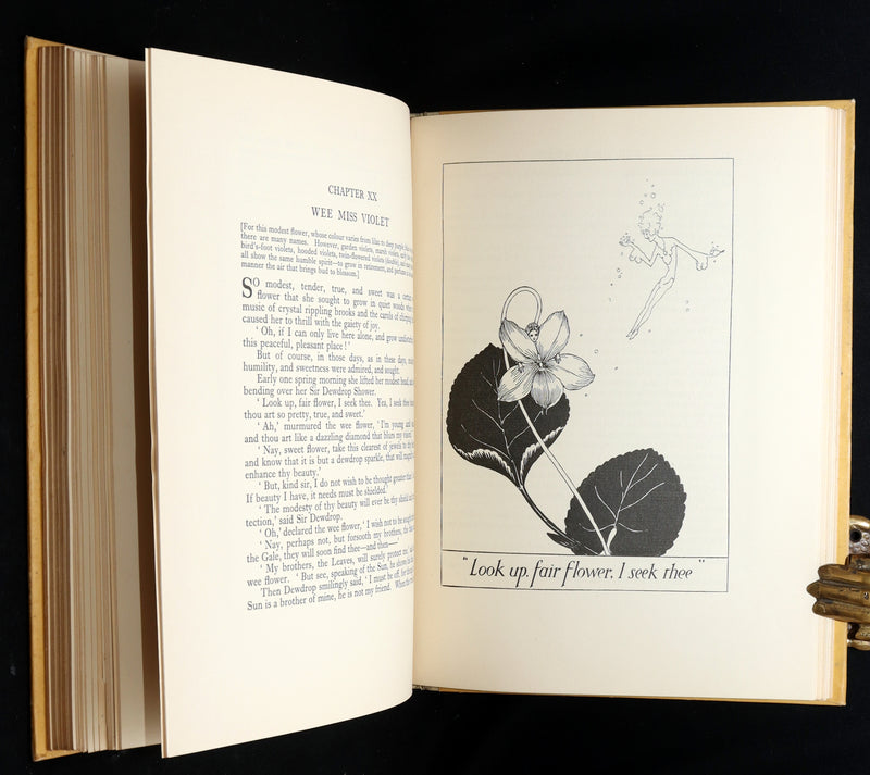 1926 Rare First Edition - Fairy Flowers by Isidora Newman Illustrated by Pogany