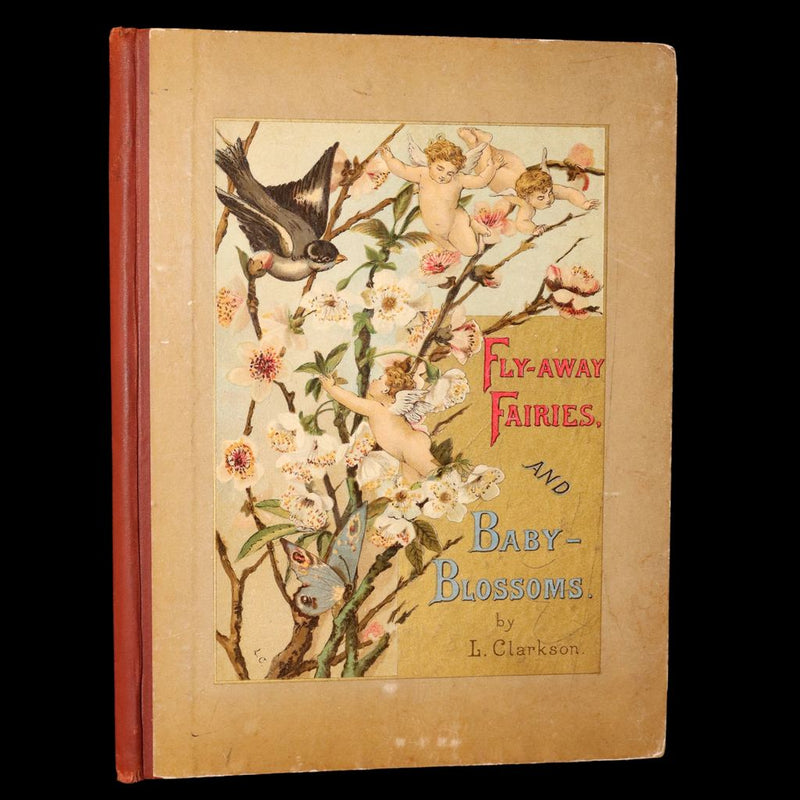 1882 Rare First Edition - Fly-Away Fairies and Baby-Blossoms by L. Clarkson