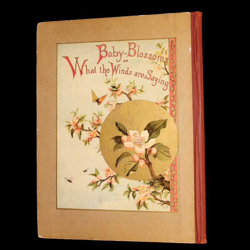 1882 Rare First Edition - Fly-Away Fairies and Baby-Blossoms by L. Clarkson