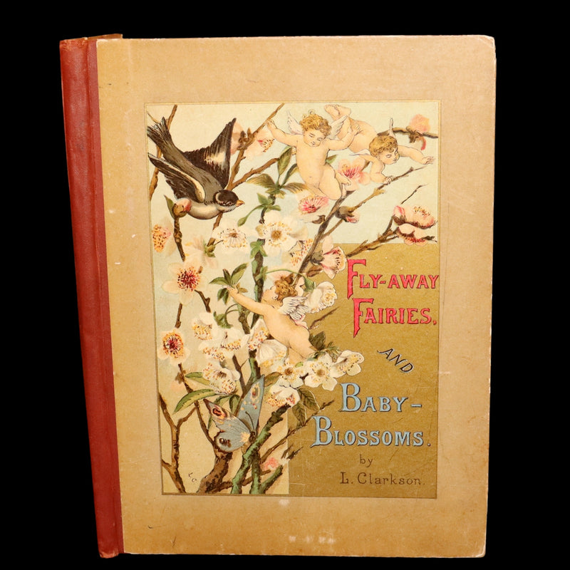 1882 Rare First Edition - Fly-Away Fairies and Baby-Blossoms by L. Clarkson