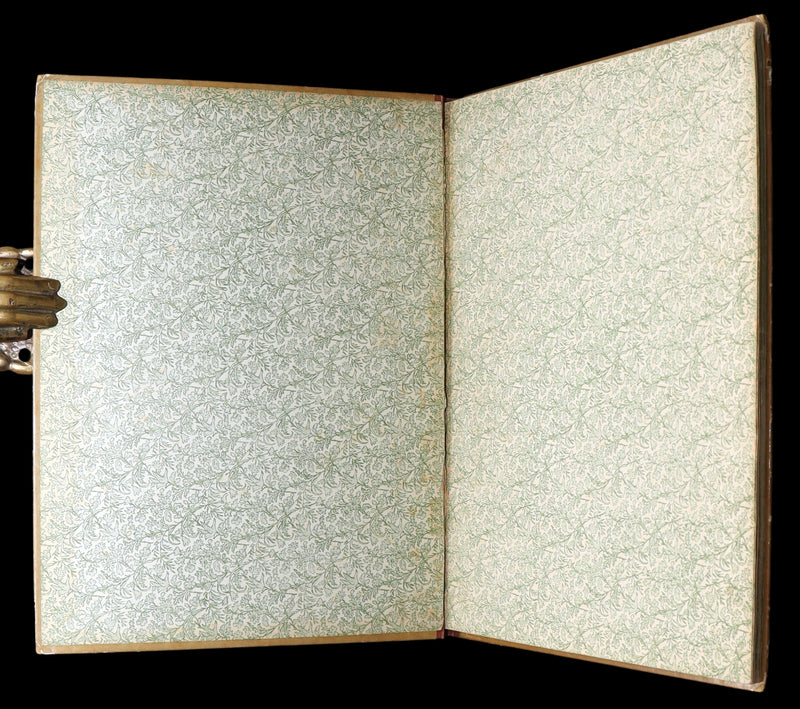 1882 Rare First Edition - Fly-Away Fairies and Baby-Blossoms by L. Clarkson