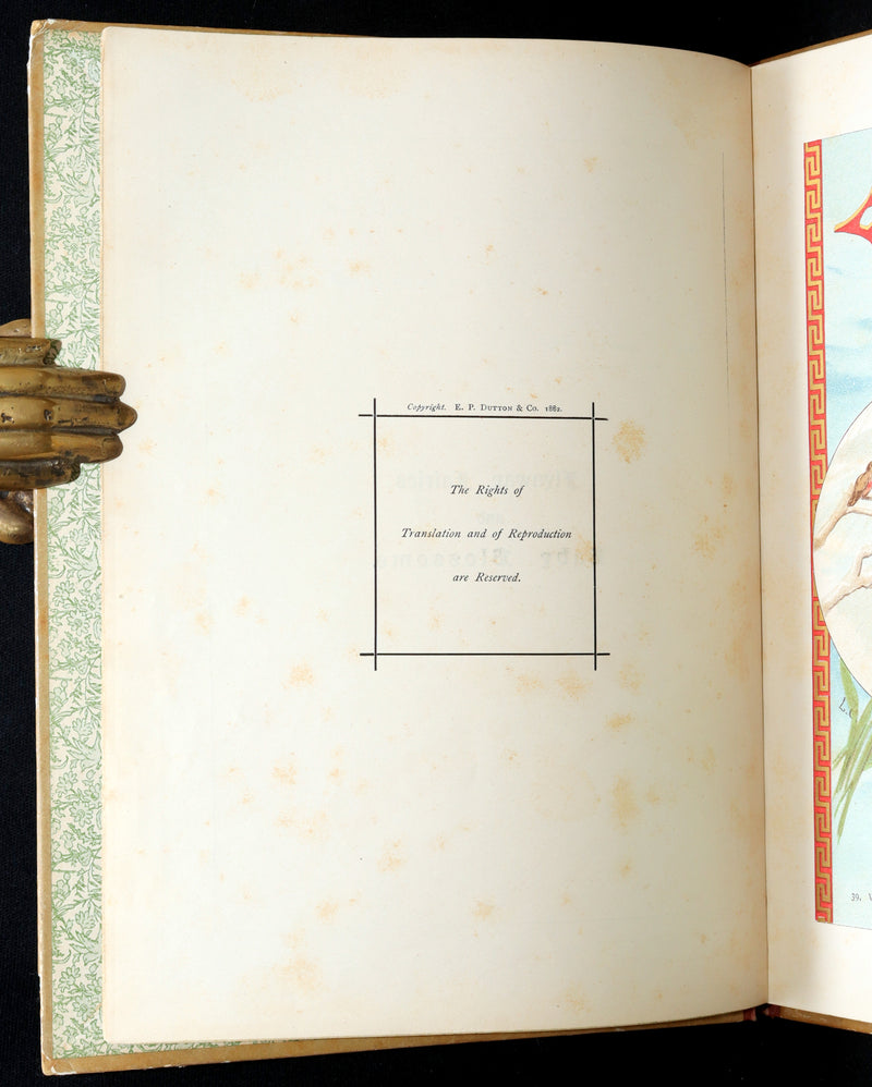 1882 Rare First Edition - Fly-Away Fairies and Baby-Blossoms by L. Clarkson